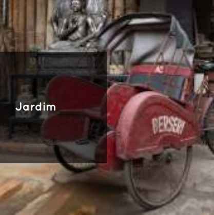 Jardim